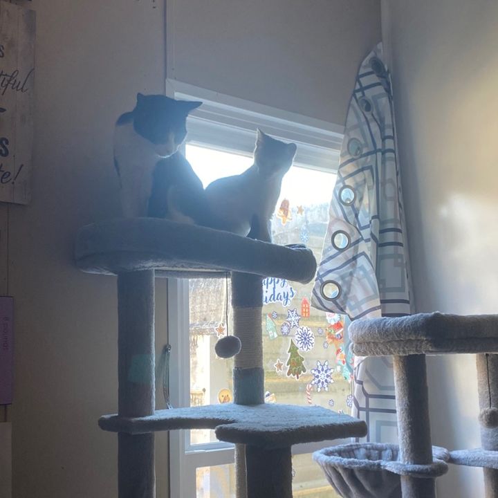 Profile Picture of Amelia Adams (@cherryberry00000) on Tiktok