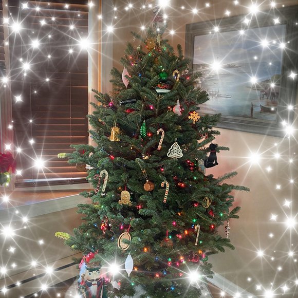 Profile Picture of Alice Fox (@michaelfox330) on Poshmark