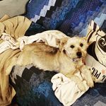 Profile Picture of Adam Nine (@adam_ix) on Instagram