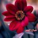 Profile Picture of Abbas Abouhamad (@abbas.abouhamad.372) on Facebook