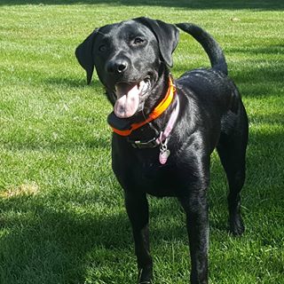 Profile Picture of Jim Finzel (@jim.finzel) on Facebook