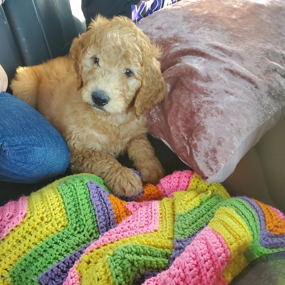 Profile Picture of Tara Krupicka (@trkrupicka) on Poshmark