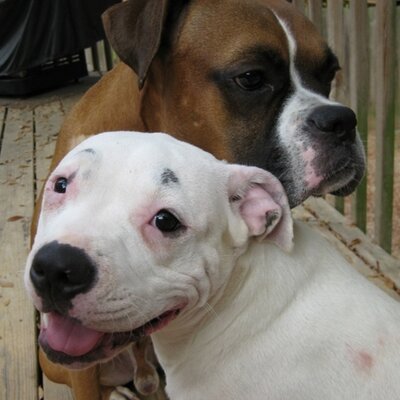 Profile Picture of JoseyFosters (@JoseyFosters) on Twitter