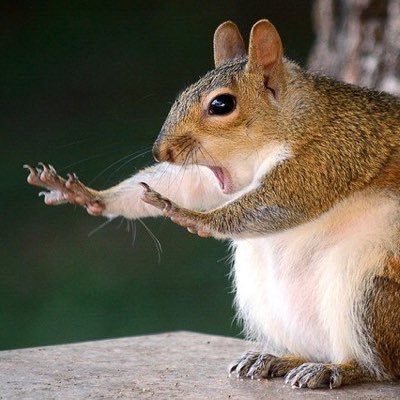 Profile Picture of ▲ (@Tumma_024) on Twitter