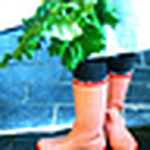 Profile Picture of louise   eltringham-Smith (@Louelt1) on Flickr