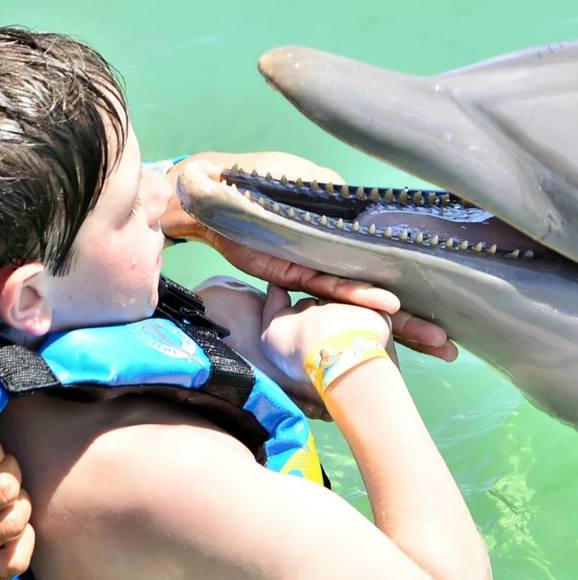 Dominik Turgeon - Poshmark Profile Picture of Dominik Turgeon (@dominikbturgeon) on Poshmark