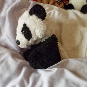Profile Picture of Mandy Hibbert (@mandyhibbert) on Tiktok