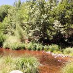 Profile Picture of Mr. Marley (@stephon_adams3) on Instagram