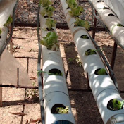 Profile Picture of Isabel Nieves (@isabelnieves3550) on Youtube