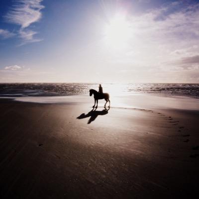 Stephanie Chapman - Twitter Profile Picture of Stephanie Chapman (@stephchapman99) on Twitter