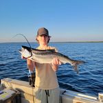 Profile Picture of Travis Goll (@travgoll07) on Instagram