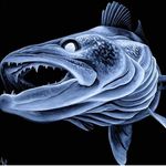 Profile Picture of 𝖕𝖊𝖙𝖊𝖗_𝖇𝖊𝖗𝖎𝖓𝖌𝖊𝖗 (@peter_beringer_fishing) on Instagram