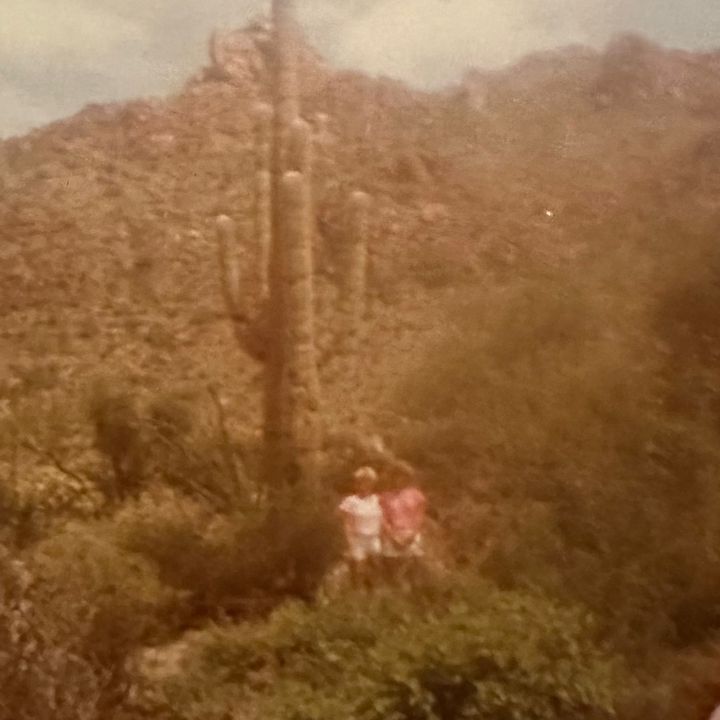 Profile Picture of Lori Westhoff (@loriwesthoff) on Tiktok