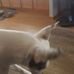 Profile Picture of Debra Kopp (@debra.kopp.507) on Facebook