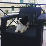 Profile Picture of KEVIN (@kevinparisiofs) on Instagram