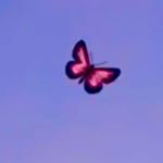 Profile Picture of trisha de castro (@trishaa.dc) on Instagram