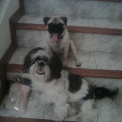 Profile Picture of Gerardo Gonzalez (@joe_tambien) on Twitter