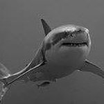 Profile Picture of Mark Raybould (@m.raybould) on Instagram