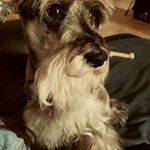 Profile Picture of Carlos A Sarria (@sarria001) on Instagram