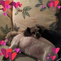 Profile Picture of Josee Bernier (@josee-bernier-1) on Quora