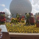 Amanda Sturch - Instagram Profile Picture of Amanda Sturch (@amanda_sturch) on Instagram