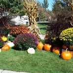 Profile Picture of Nancy Rykert Gralnik (@nancy.gralnik) on Facebook