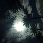 Profile Picture of Nicholas Fahey (@nicholaspfahey) on Instagram