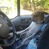 Profile Picture of Tammy McGee (@tammy.mcgee.71) on Facebook