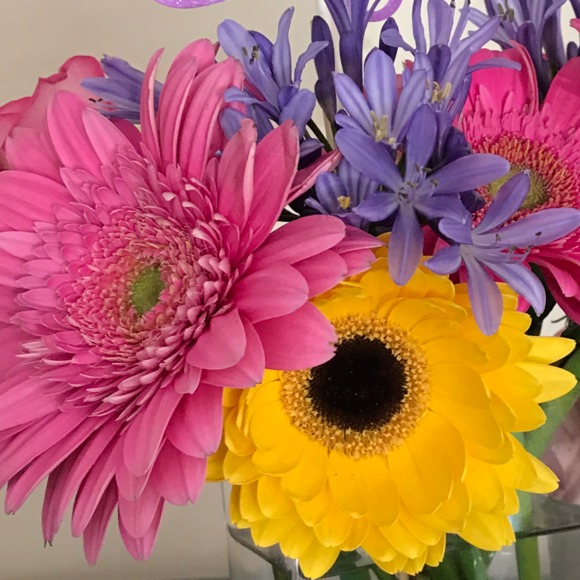 Profile Picture of Sara Lantowski (@skultesa) on Poshmark