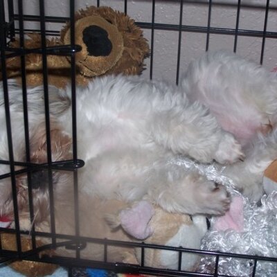 Profile Picture of Nate Barden (@NateBarden) on Twitter