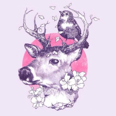 Profile Picture of MaxHo (@MaxHo45058934) on Twitter