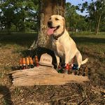 Profile Picture of Stephen Goulette (@nolimitcalls) on Instagram