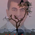 Profile Picture of mohammed said (@lozan.1961) on Flickr