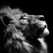 Profile Picture of John Campos (@johncampos8678) on Youtube