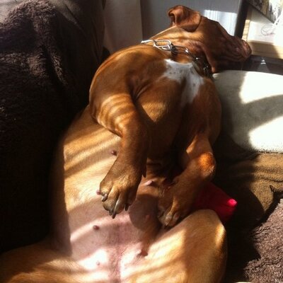 Profile Picture of Mark Moores (@moorseythedaddy) on Twitter