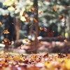 Profile Picture of MichaelHalverson6574 (@michaelhalverson6574) on Tiktok
