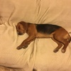Profile Picture of danaddison05 (@@danaddison05) on Tiktok
