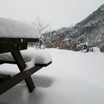 Profile Picture of Changho Choi (@changho4321) on Instagram