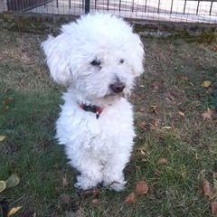 Profile Picture of Silvia Barberini (@silvia.barberini) on Tiktok