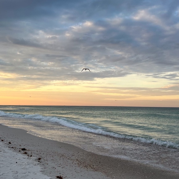 Profile Picture of Leah Nikitenko (@leahnikitenko) on Poshmark