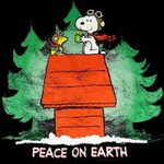 Profile Picture of Ellen Cadle Kushner (@ekushner) on Instagram