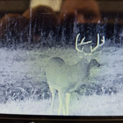 Profile Picture of Doug Rouse (@DougRouse5) on Twitter