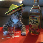 Profile Picture of Aleksandr Baranov (@r?dsvart) on Flickr