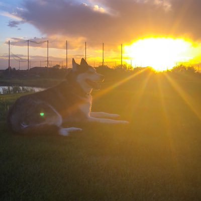 Profile Picture of Justin Colton (@JCole5280) on Twitter