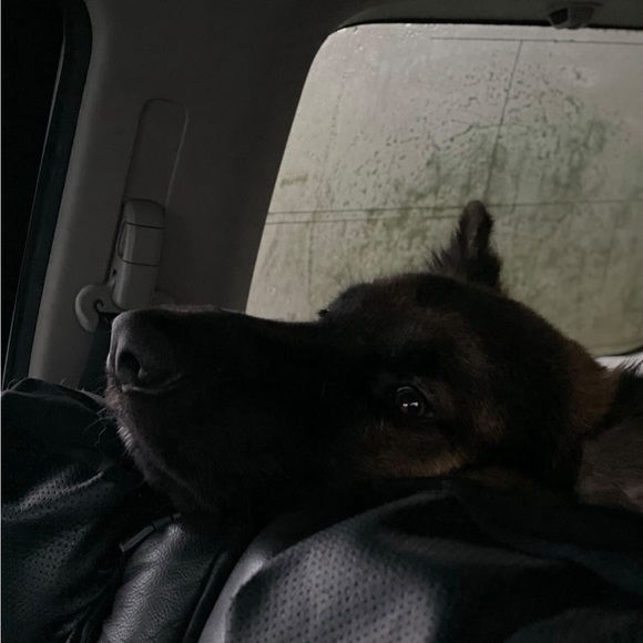 Alex Vicente - Poshmark Profile Picture of Alex Vicente (@vicenhw35) on Poshmark