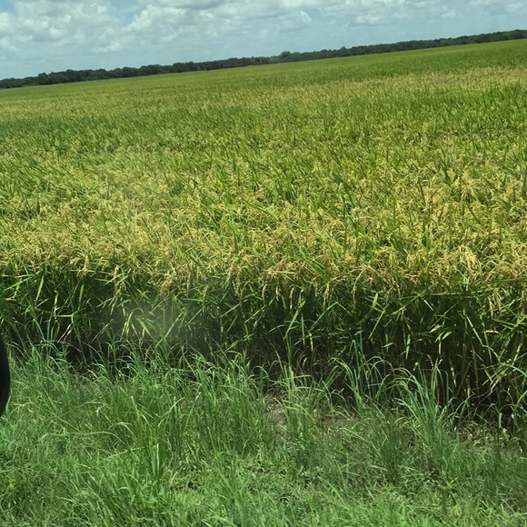 Profile Picture of Veronica Obenhaus (@vobenhaus) on Poshmark