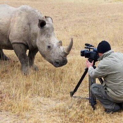 Profile Picture of Jacques Du Toit (@lenzlizzard) on Twitter