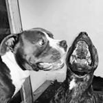 Profile Picture of stefan kozma (@stefan.kozma) on Instagram