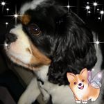 Profile Picture of Bob Pike (@bob.pike.37) on Instagram