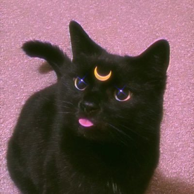 Profile Picture of Paola Sanchez (@paolaasanch) on Twitter